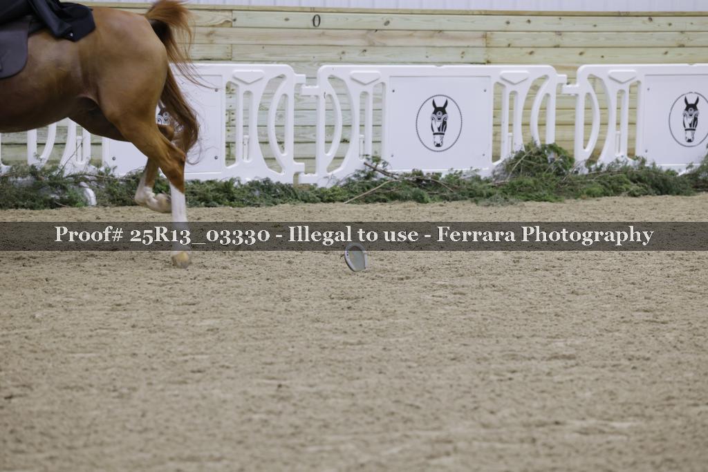 Proof 25R13_03330