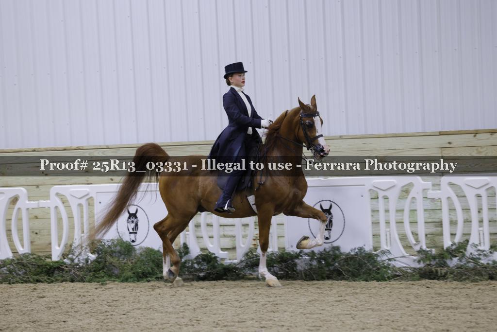 Proof 25R13_03331