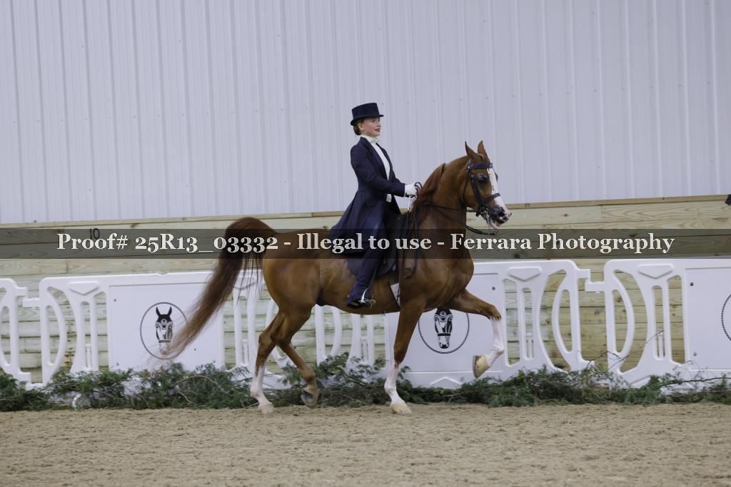 Proof 25R13_03332