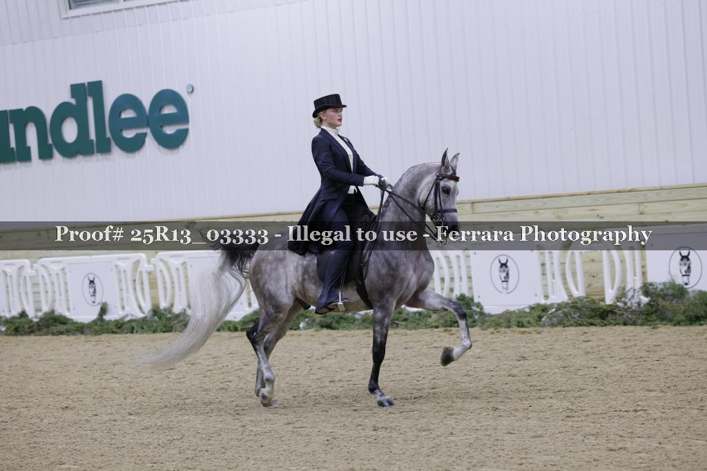 Proof 25R13_03333