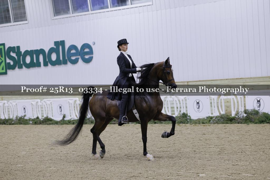 Proof 25R13_03334