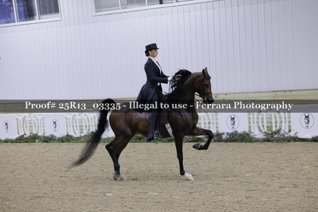 Proof 25R13_03335