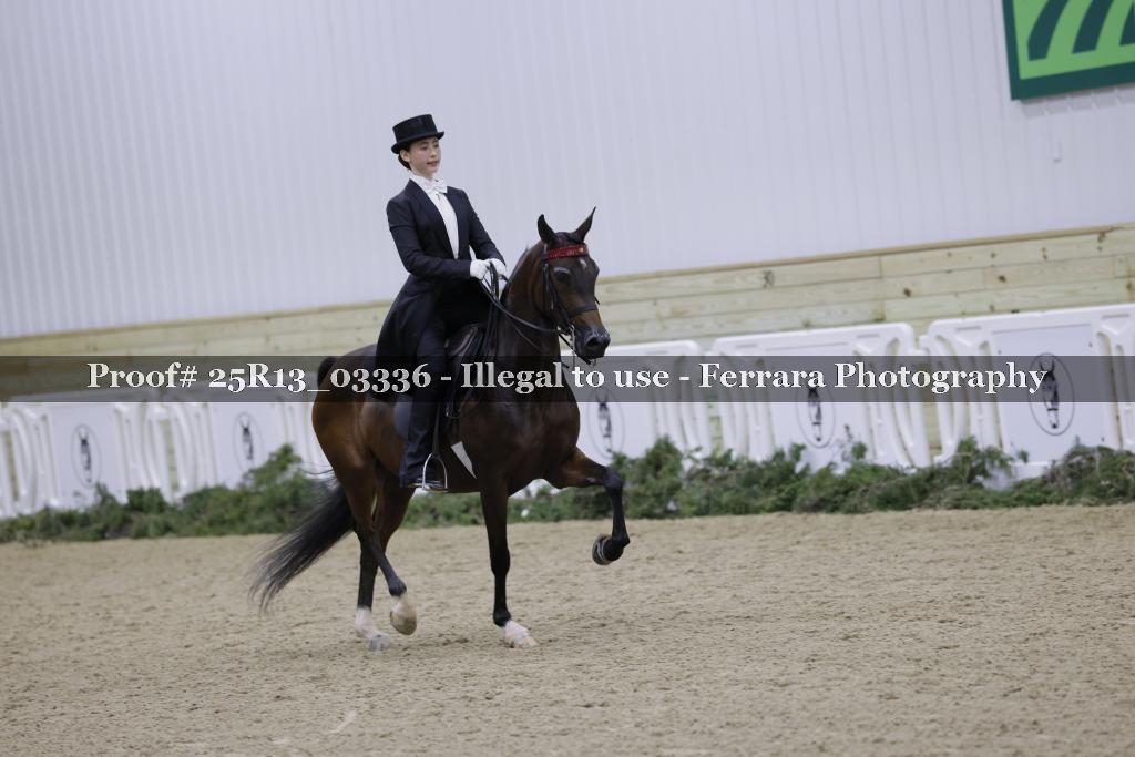 Proof 25R13_03336