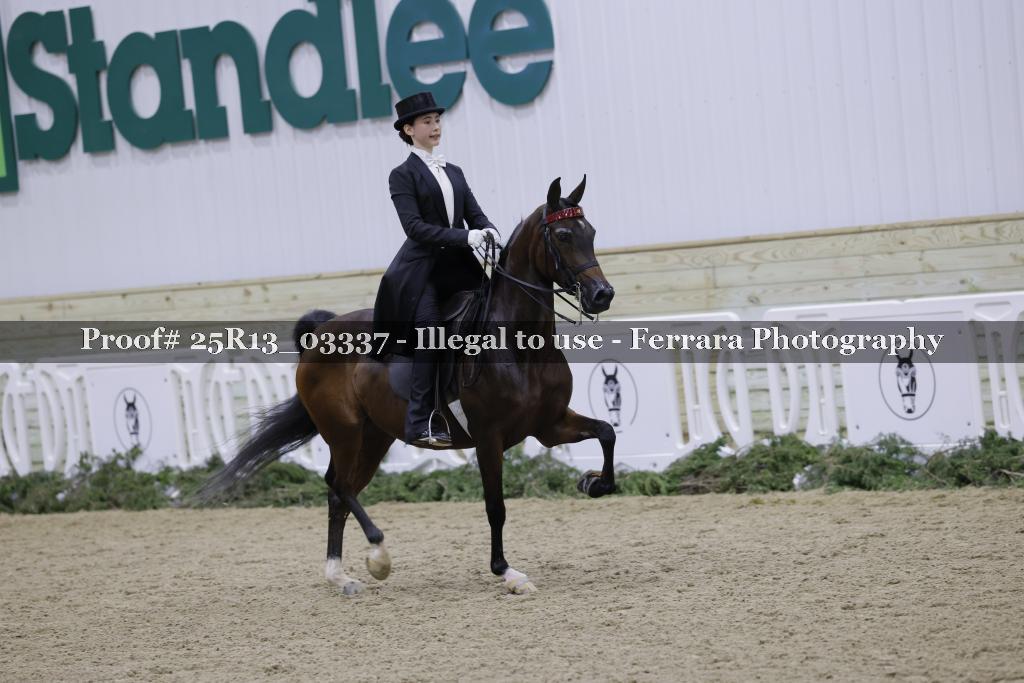 Proof 25R13_03337