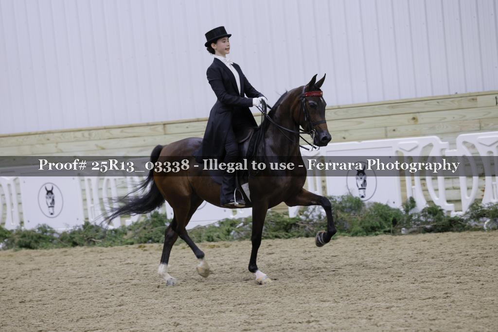 Proof 25R13_03338