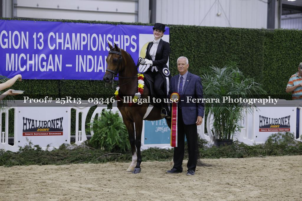 Proof 25R13_03346