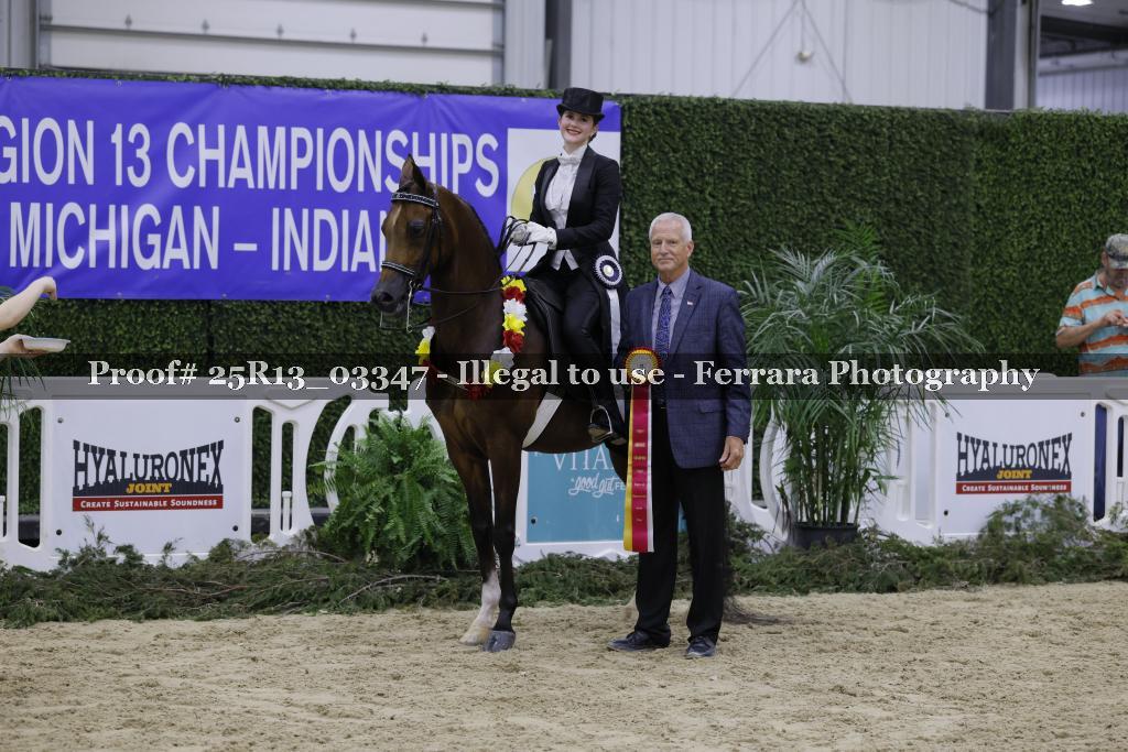 Proof 25R13_03347