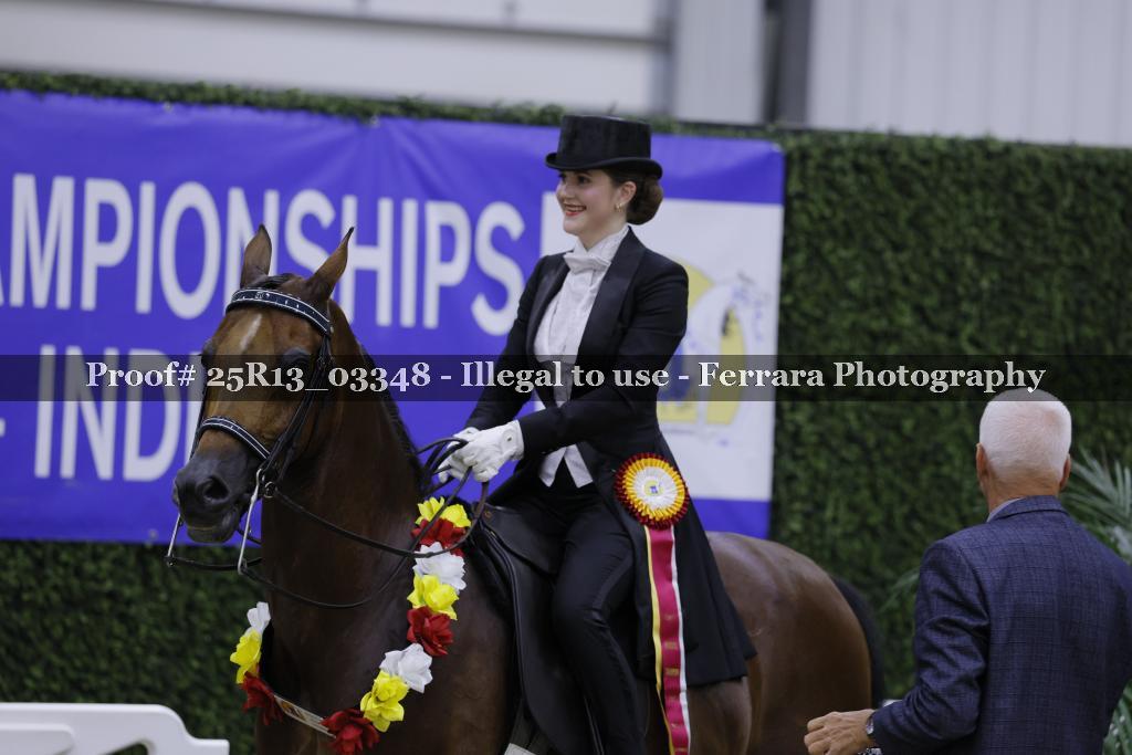 Proof 25R13_03348