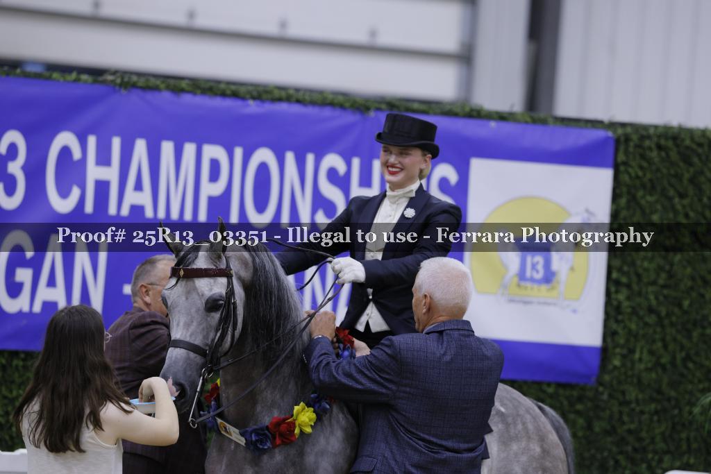 Proof 25R13_03351