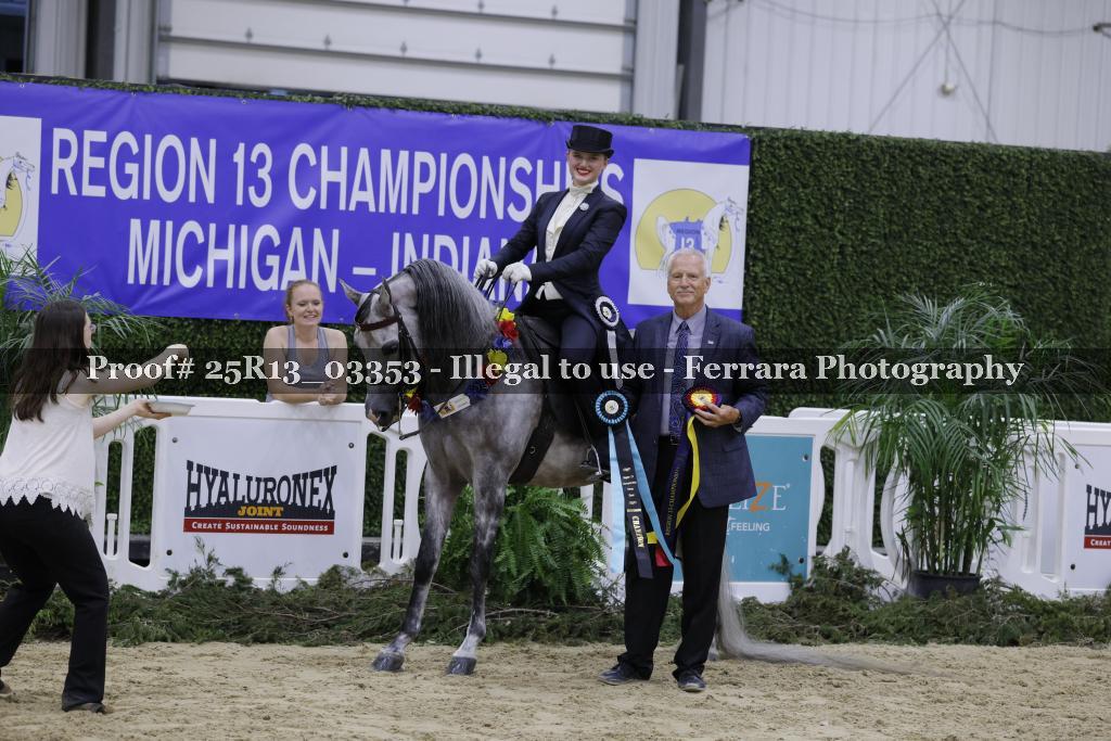 Proof 25R13_03353