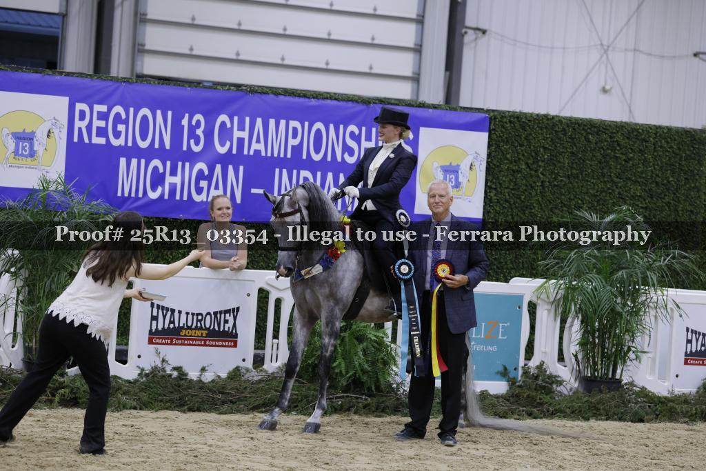 Proof 25R13_03354