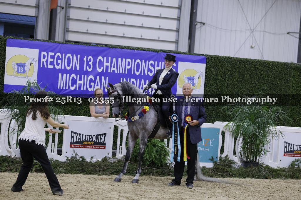 Proof 25R13_03355