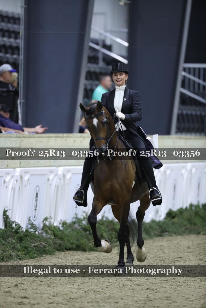Proof 25R13_03356