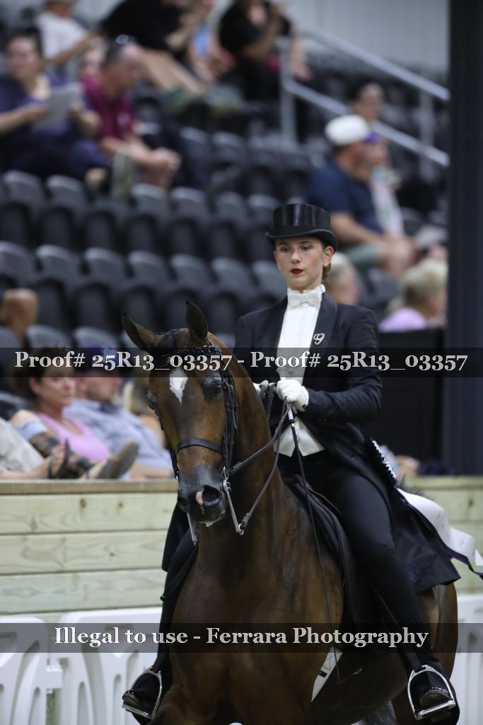 Proof 25R13_03357