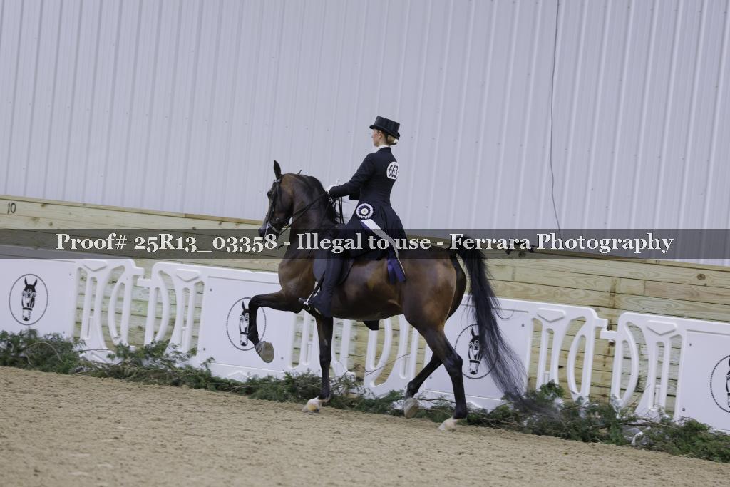 Proof 25R13_03358