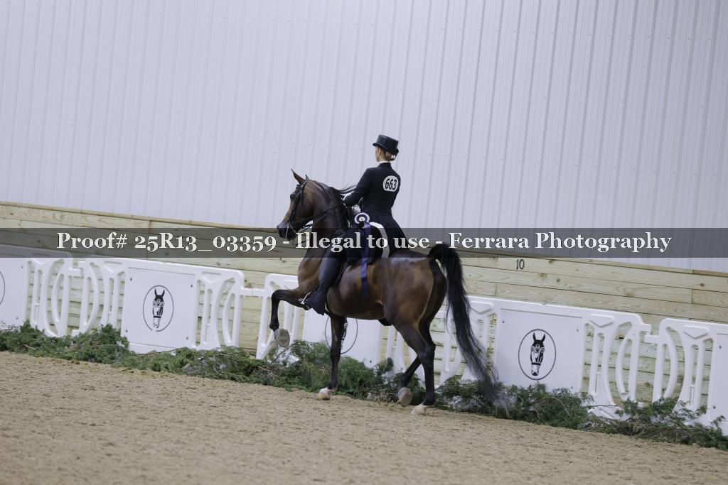 Proof 25R13_03359
