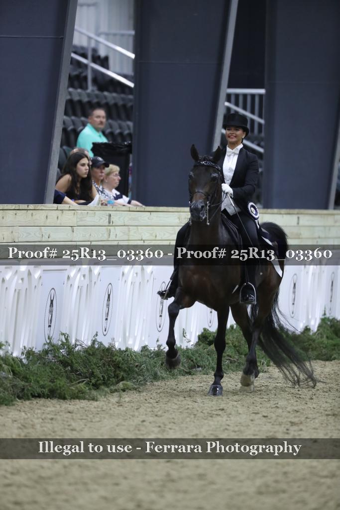 Proof 25R13_03360