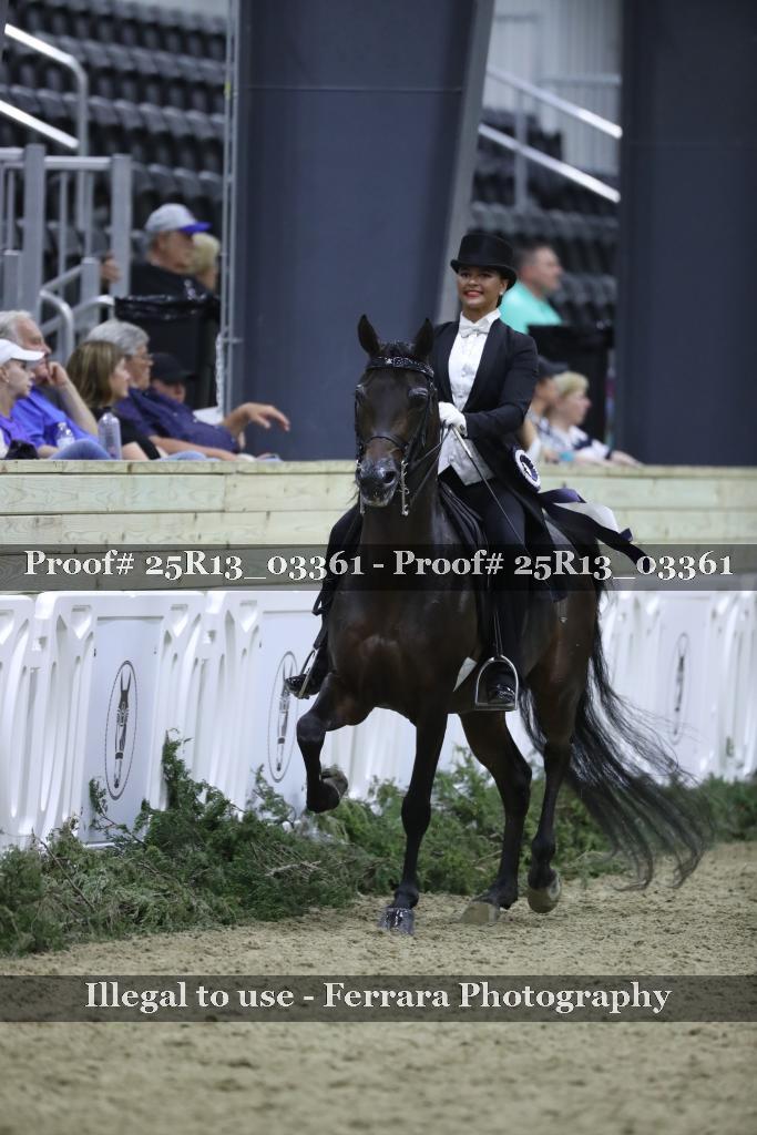 Proof 25R13_03361