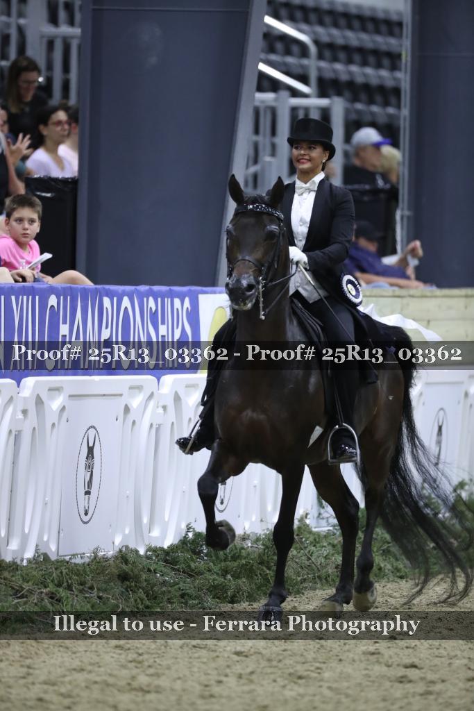 Proof 25R13_03362