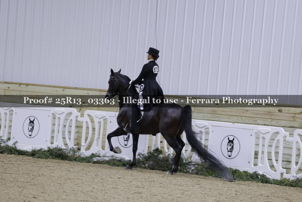 Proof 25R13_03363