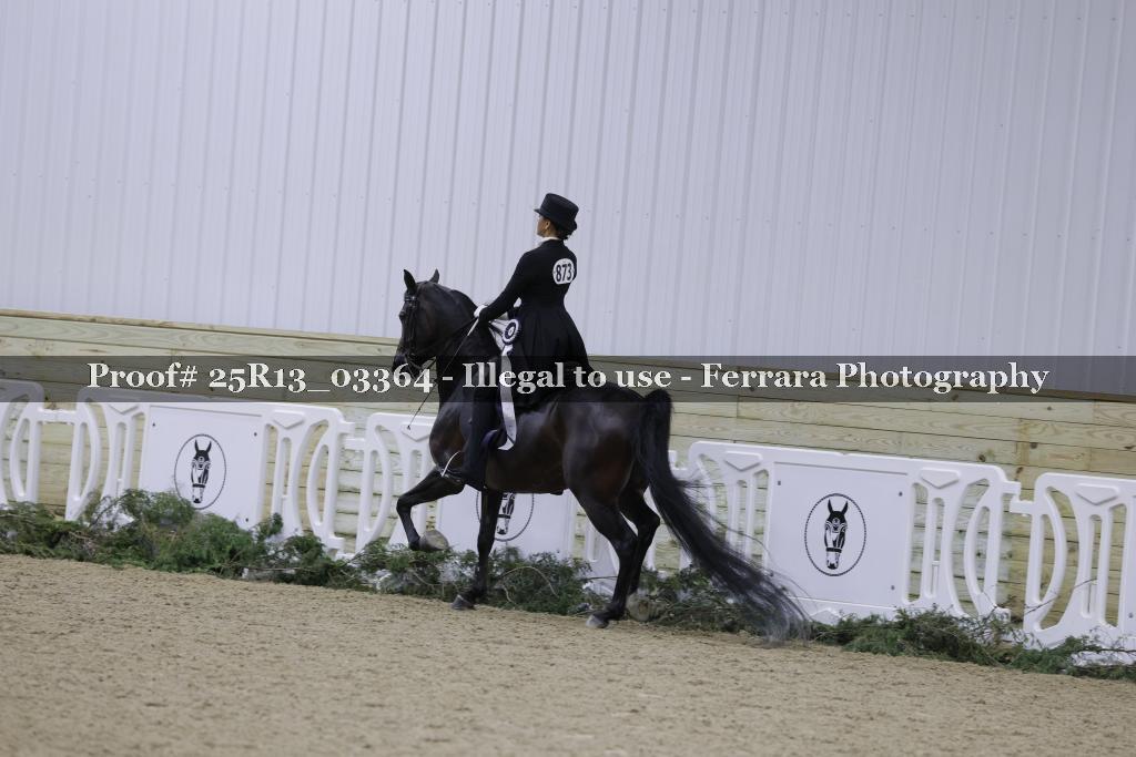 Proof 25R13_03364