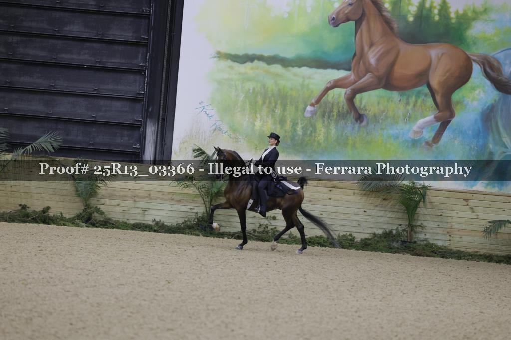 Proof 25R13_03366
