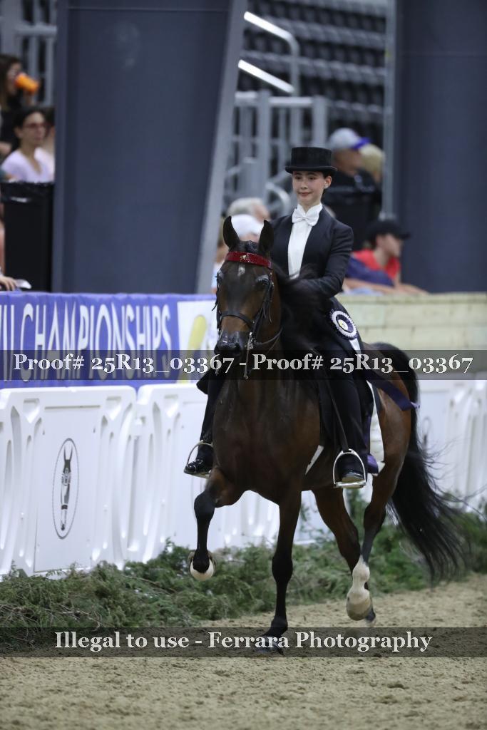 Proof 25R13_03367