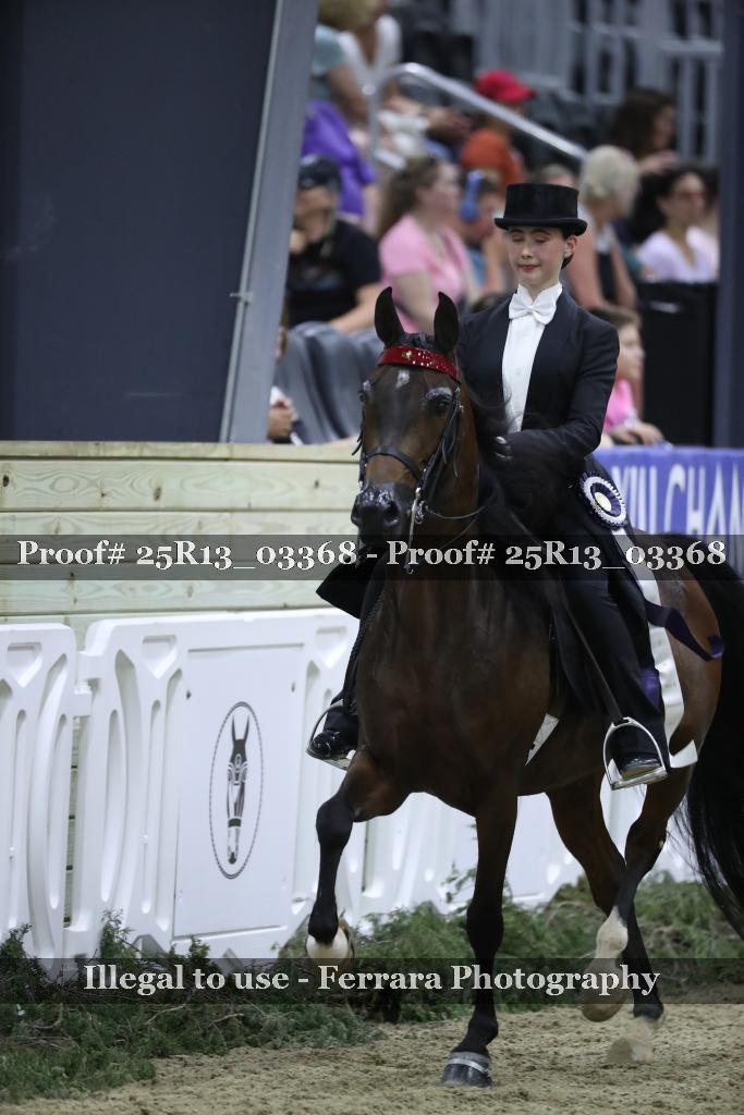 Proof 25R13_03368