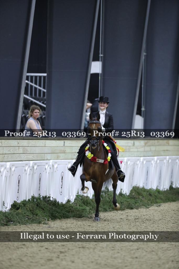 Proof 25R13_03369