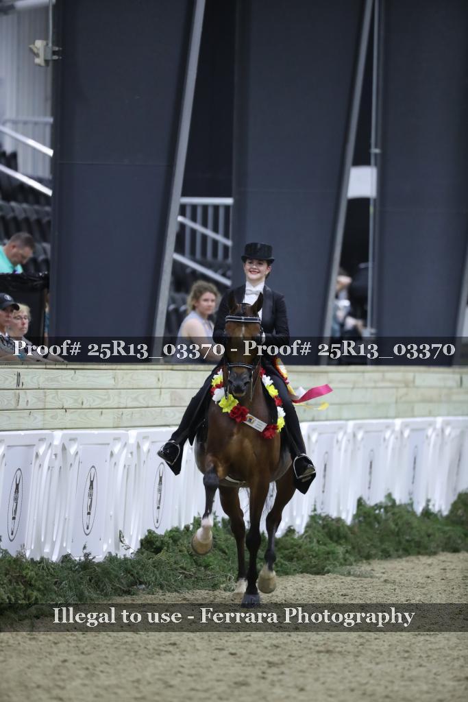 Proof 25R13_03370