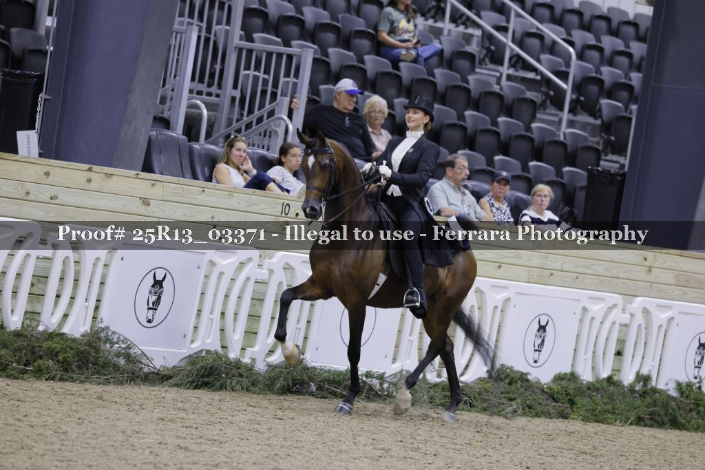 Proof 25R13_03371