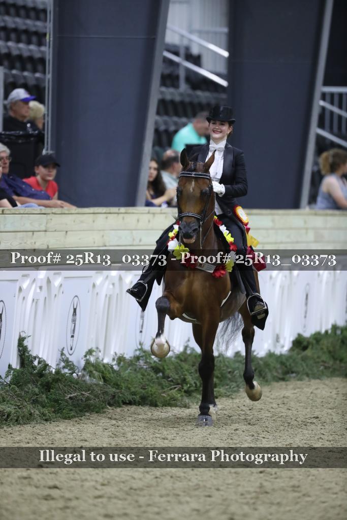 Proof 25R13_03373