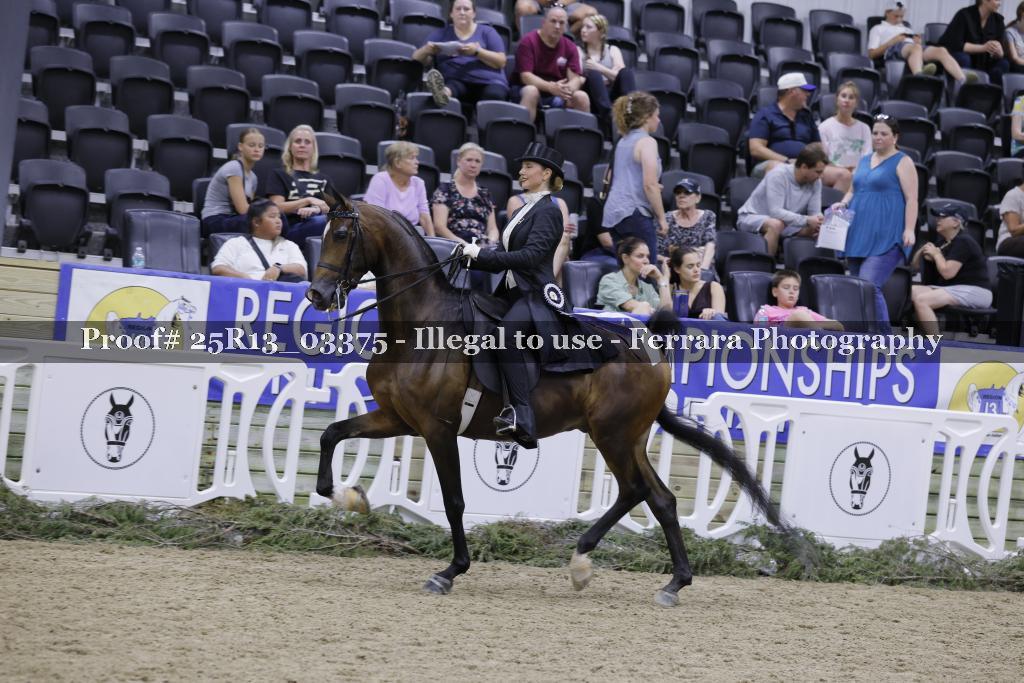 Proof 25R13_03375