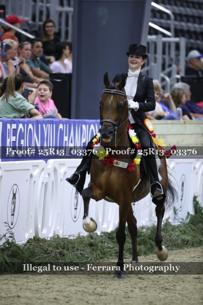 Proof 25R13_03376