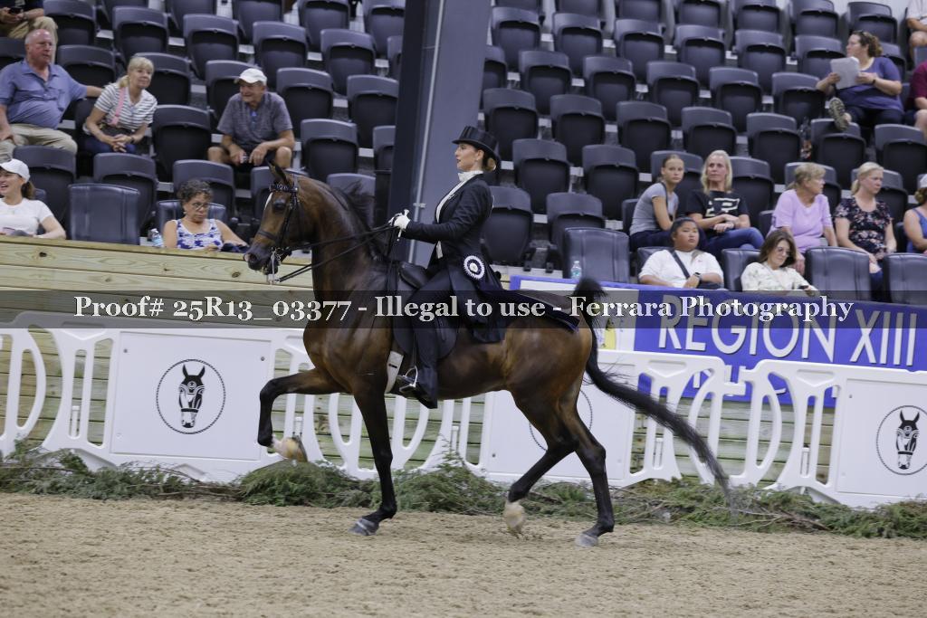 Proof 25R13_03377