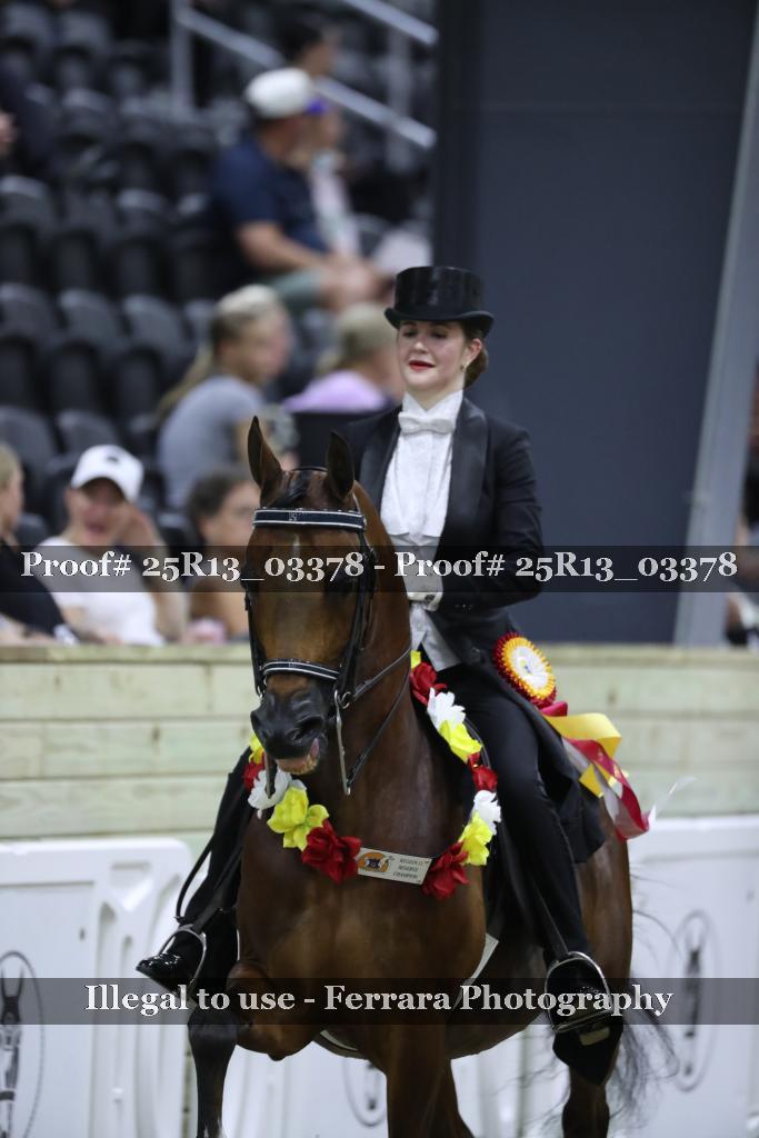 Proof 25R13_03378