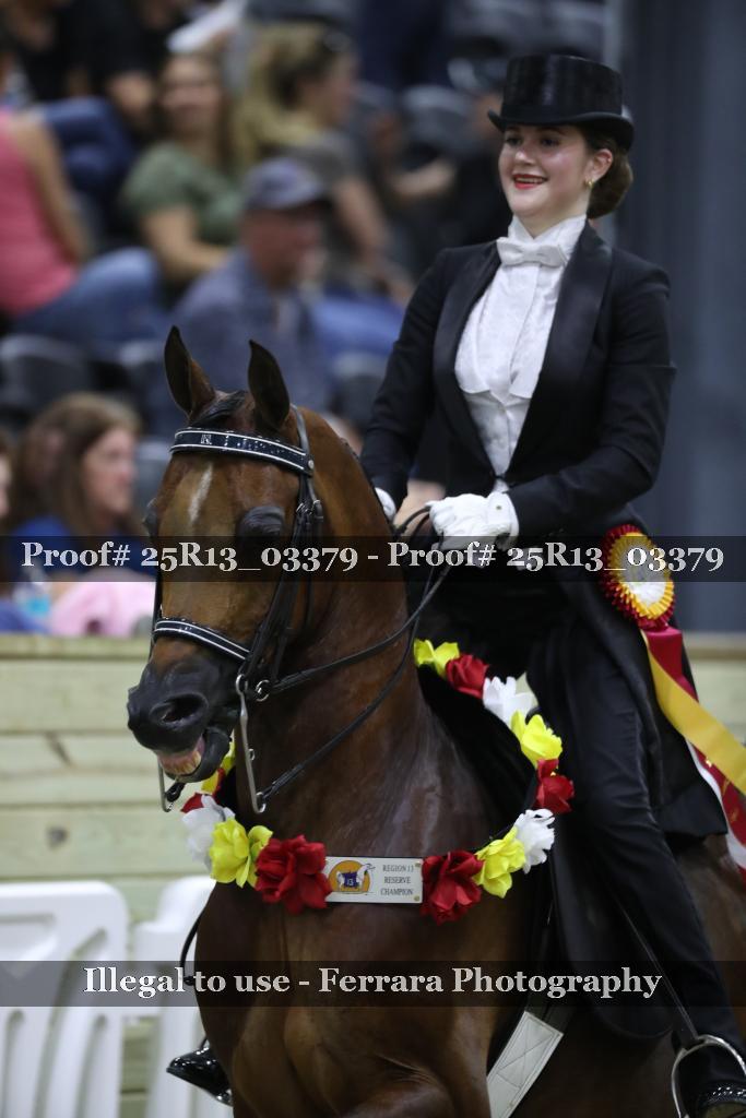 Proof 25R13_03379