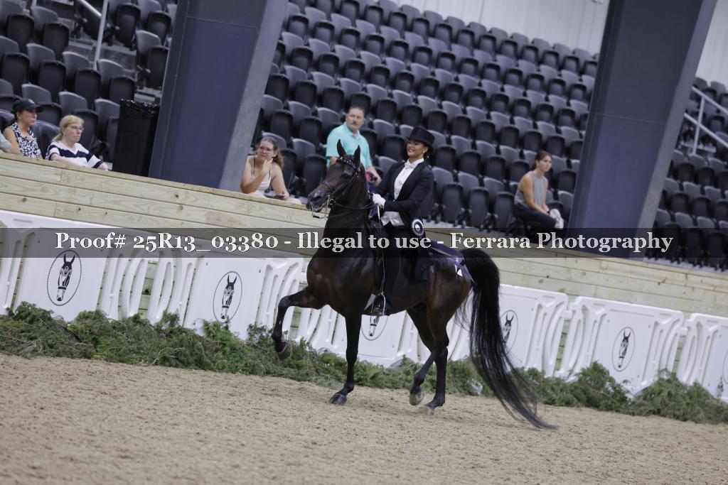 Proof 25R13_03380