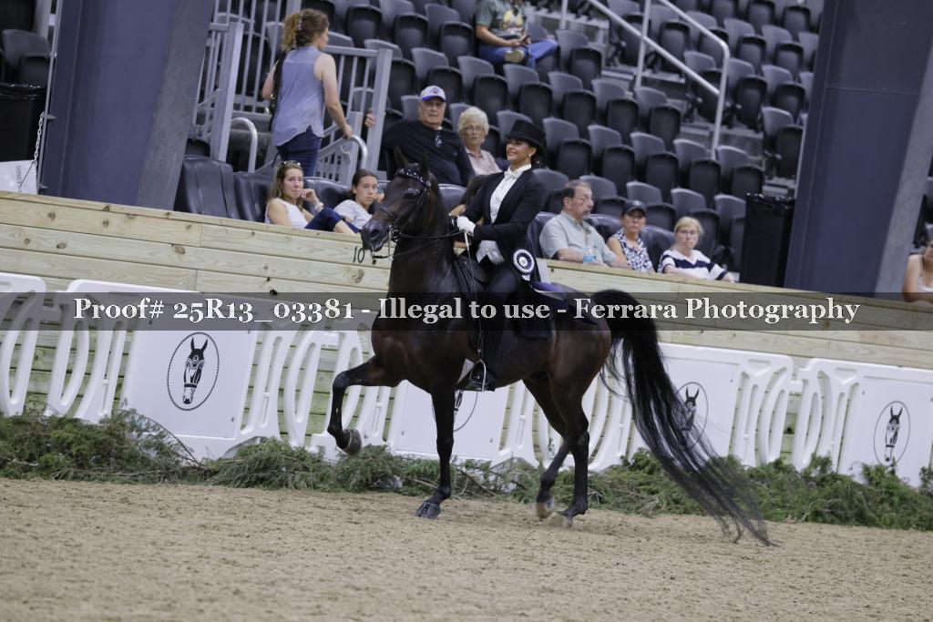 Proof 25R13_03381