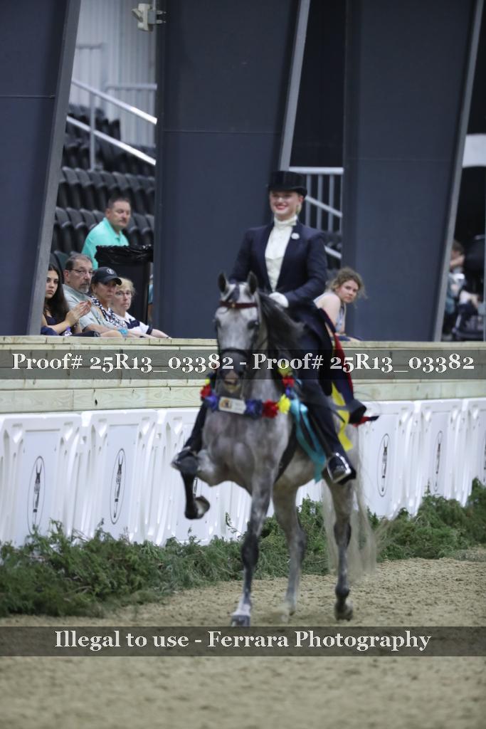 Proof 25R13_03382