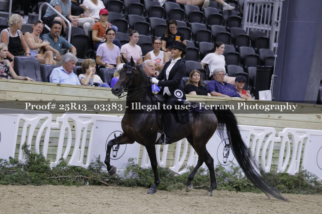 Proof 25R13_03383