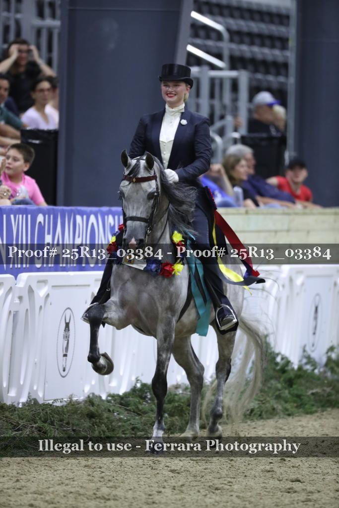 Proof 25R13_03384