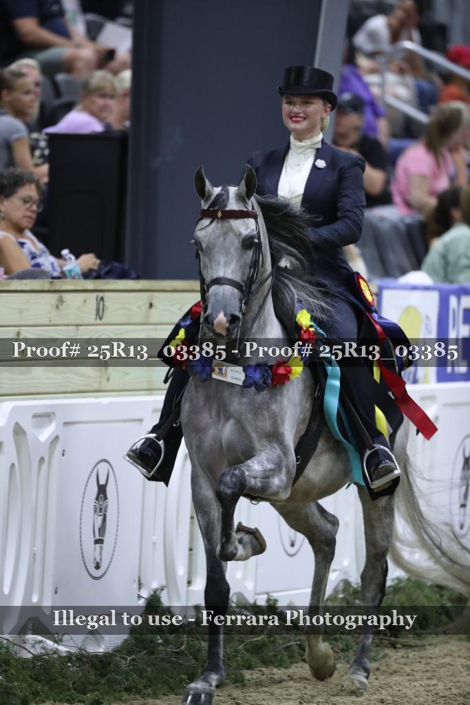Proof 25R13_03385