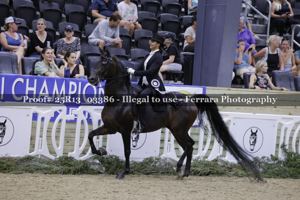 Proof 25R13_03386
