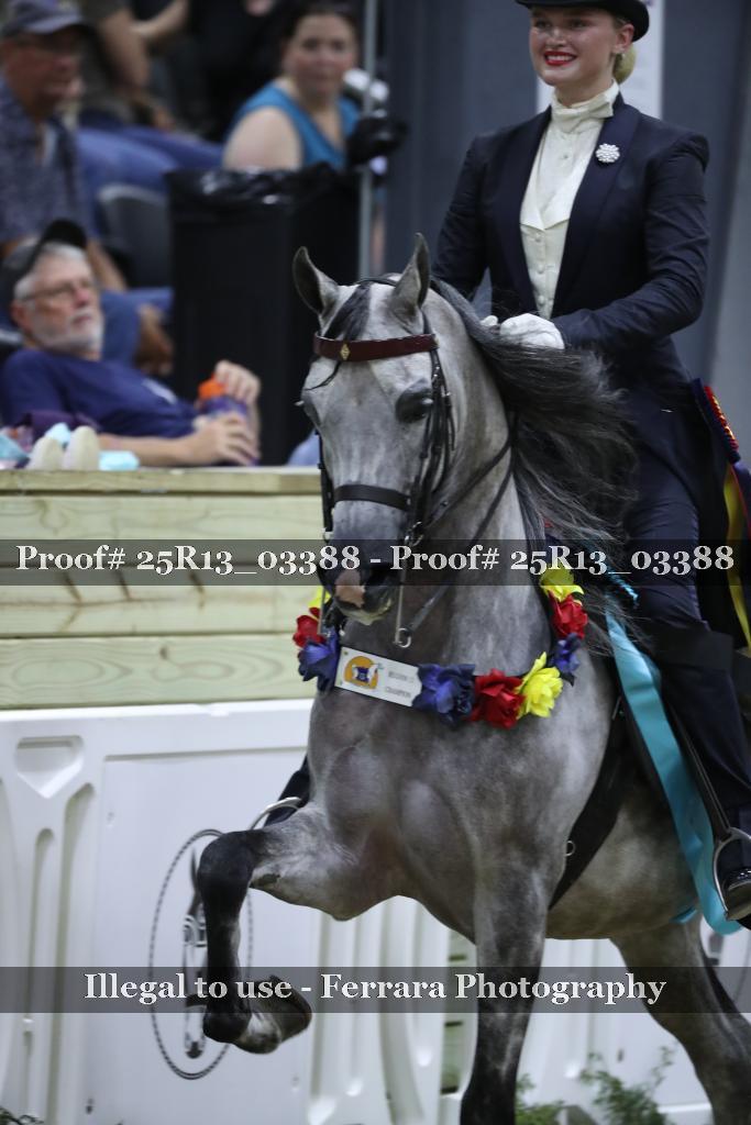 Proof 25R13_03388