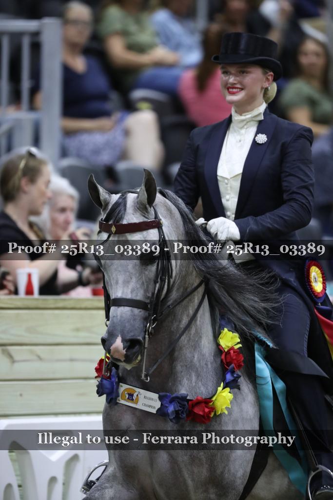 Proof 25R13_03389