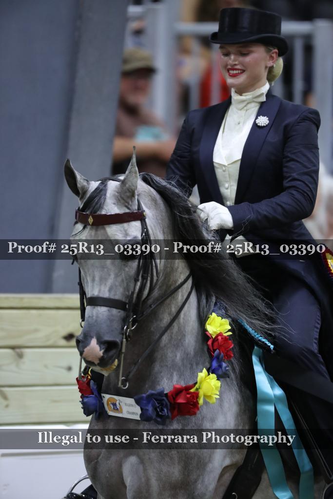 Proof 25R13_03390