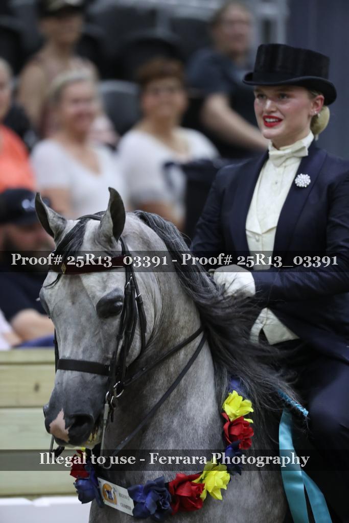 Proof 25R13_03391