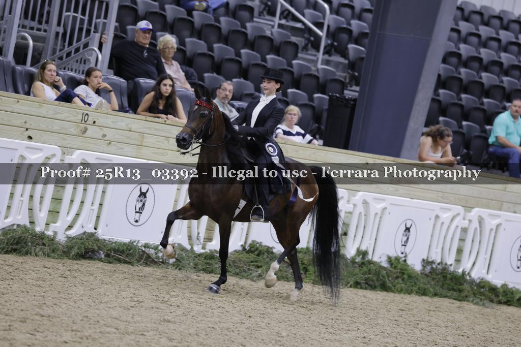 Proof 25R13_03392
