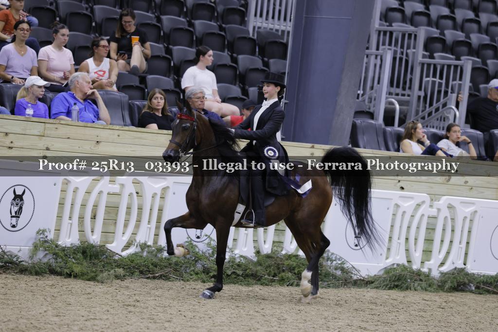 Proof 25R13_03393